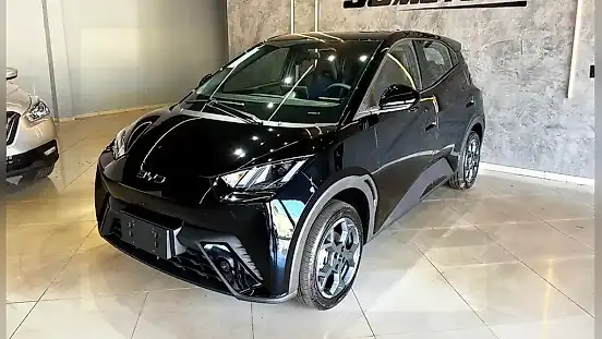 Foto de um byd dolphin mini