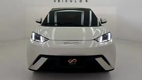 Foto de um byd dolphin mini
