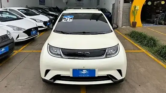 Foto de um byd dolphin