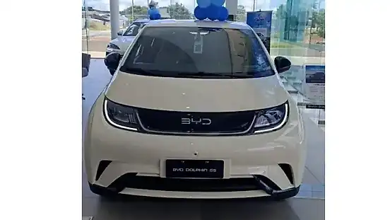 Foto de um byd dolphin