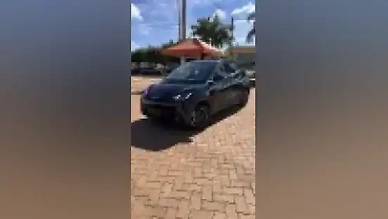Foto de um byd dolphin mini