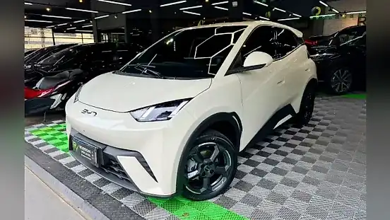 Foto de um byd dolphin mini