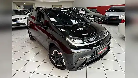 Foto de um byd dolphin