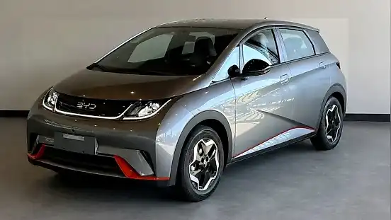 Foto de um byd dolphin
