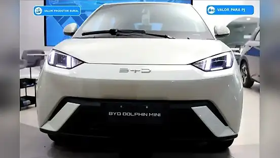 Foto de um byd dolphin mini