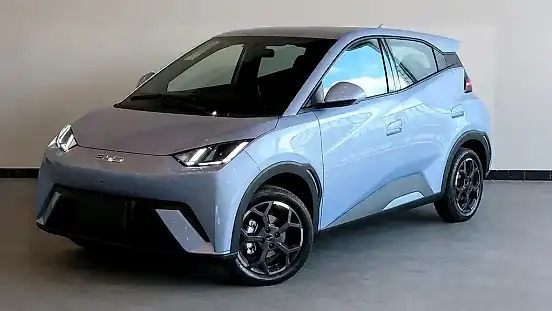 Foto de um byd dolphin mini