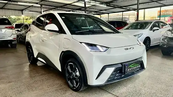Foto de um byd dolphin mini