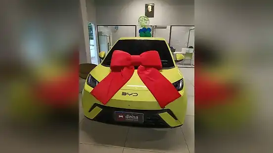 Foto de um byd dolphin mini