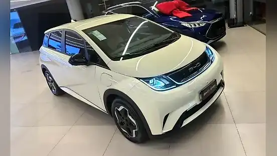 Foto de um byd dolphin