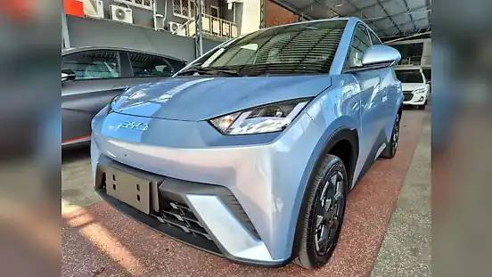 Foto de um byd dolphin mini