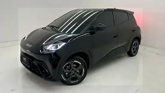 Foto de um byd dolphin mini
