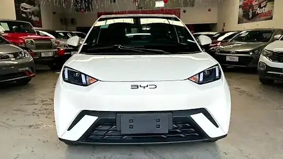 Foto de um byd dolphin mini
