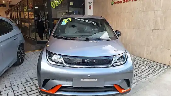 Foto de um byd dolphin