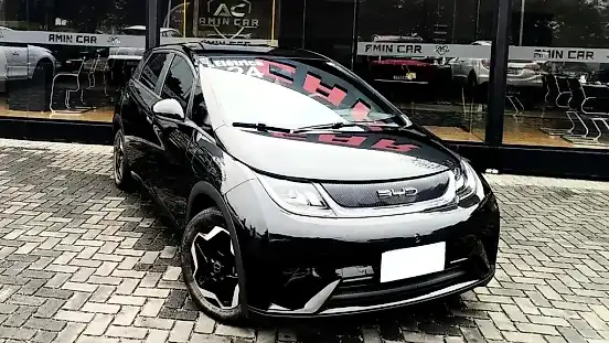 Foto de um byd dolphin