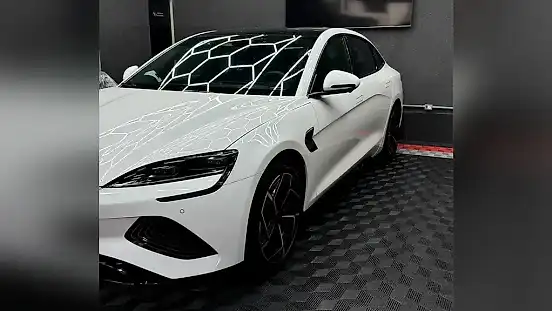 Foto de um byd seal