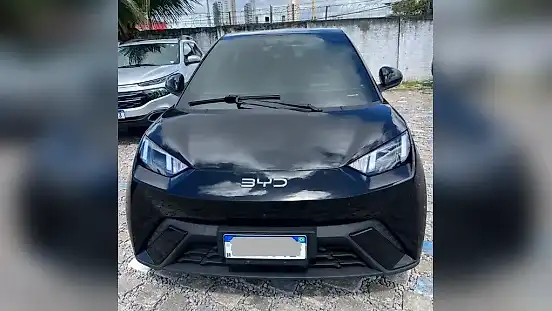 Foto de um byd dolphin mini