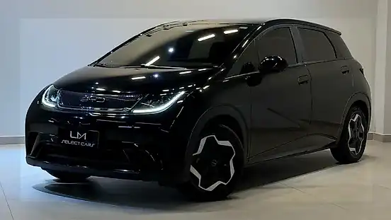 Foto de um byd dolphin