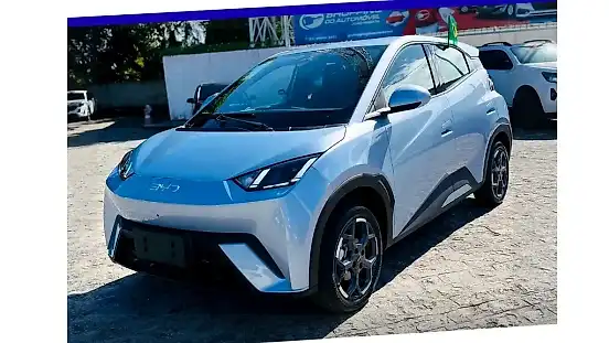 Foto de um byd dolphin mini