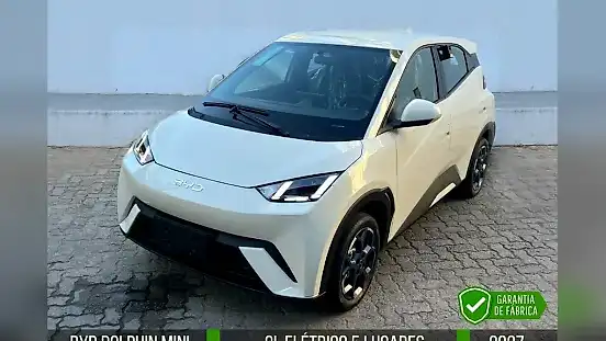 Foto de um byd dolphin