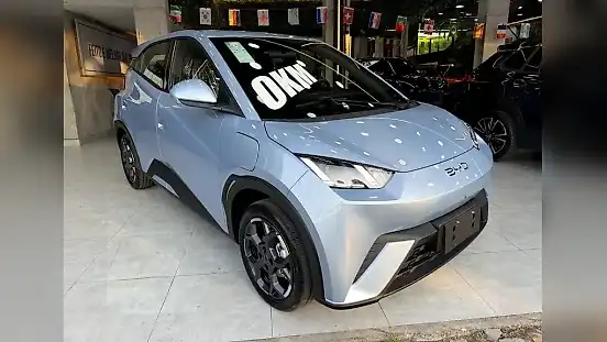 Foto de um byd dolphin mini