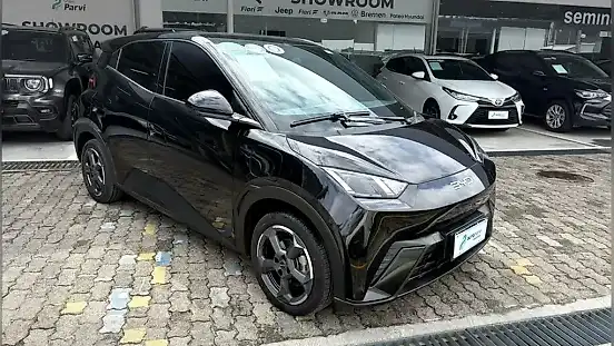 Foto de um byd dolphin mini
