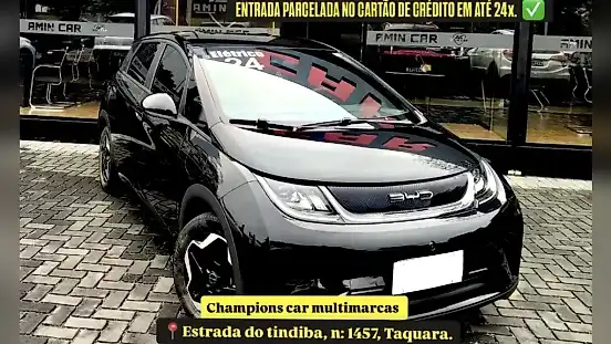 Foto de um byd dolphin