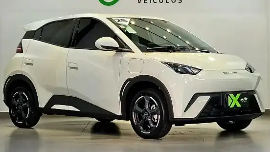 Foto de um byd dolphin mini