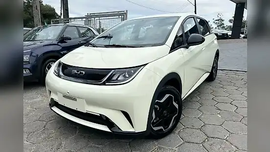 Foto de um byd dolphin
