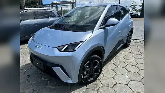 Foto de um byd dolphin