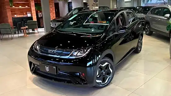 Foto de um byd dolphin