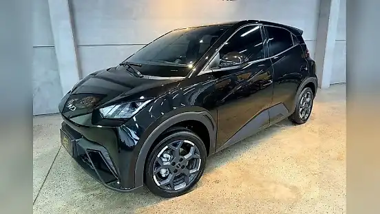 Foto de um byd dolphin
