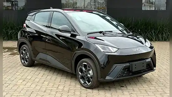 Foto de um byd dolphin mini