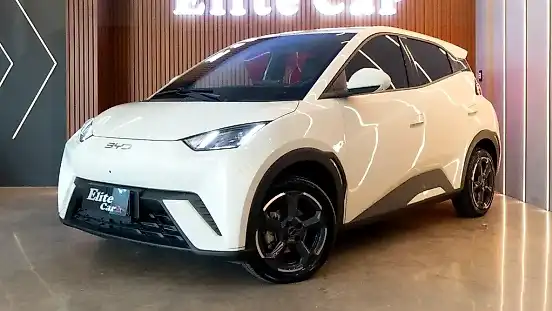 Foto de um byd dolphin mini