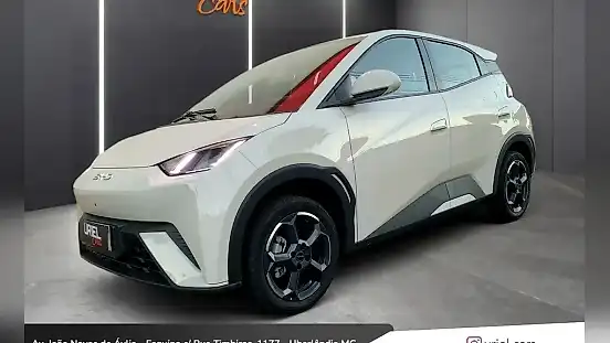 Foto de um byd dolphin