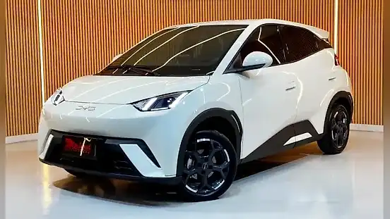 Foto de um byd dolphin