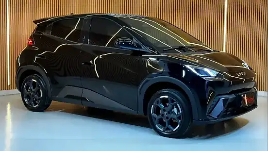 Foto de um byd dolphin mini