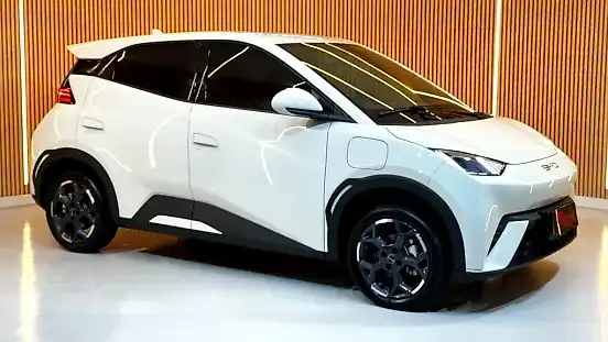 Foto de um byd dolphin mini
