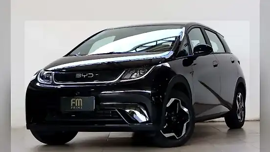 Foto de um byd dolphin