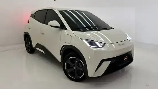 Foto de um byd dolphin mini