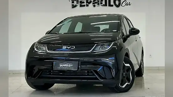 Foto de um byd dolphin