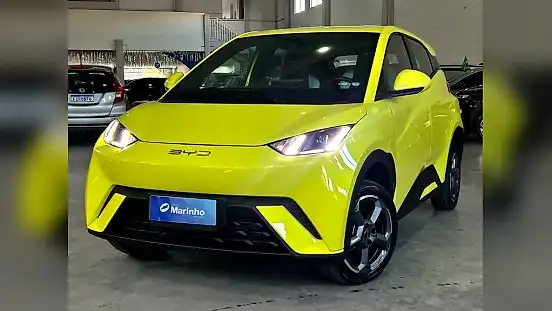 Foto de um byd dolphin mini