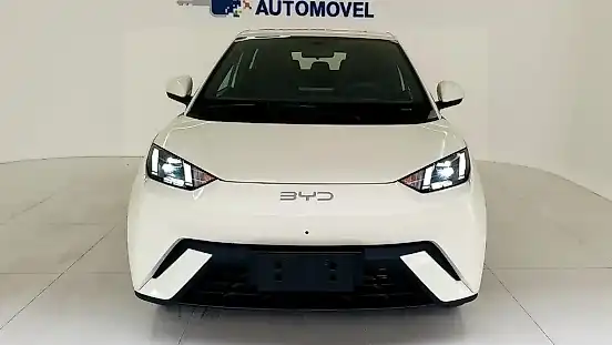 Foto de um byd dolphin