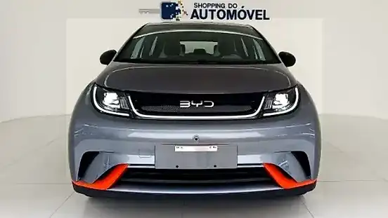 Foto de um byd dolphin