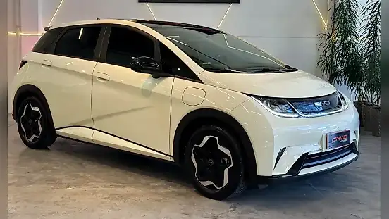 Foto de um byd dolphin