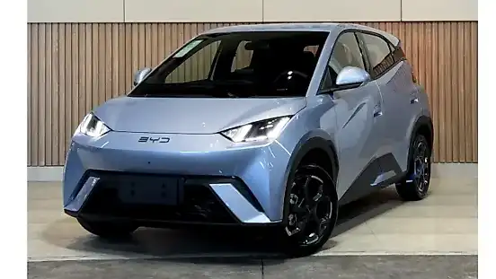 Foto de um byd dolphin mini
