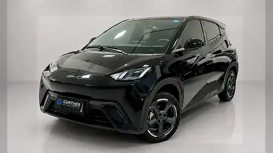 Foto de um byd dolphin mini