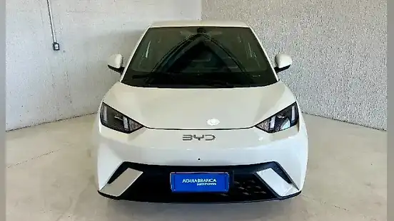 Foto de um byd dolphin mini