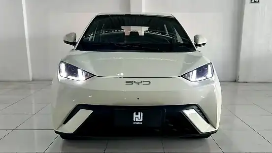 Foto de um byd dolphin mini