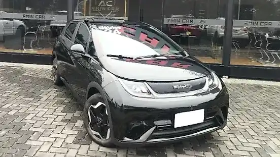Foto de um byd dolphin