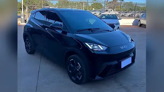 Foto de um byd dolphin mini